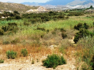 RAMBLA DE LAS MORERAS (7)