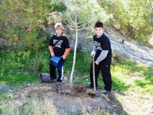 REFORESTACION OK (7)