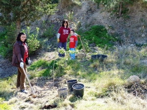 REFORESTACION OK (8)