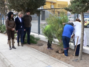 REFORESTACION PINOS MANUELA ROMERO (1)