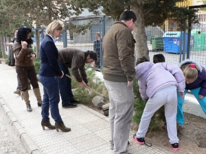 REFORESTACION PINOS MANUELA ROMERO (3)