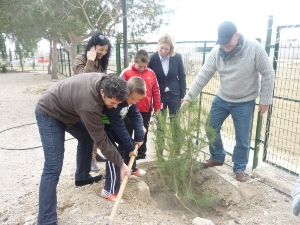 REFORESTACION PINOS SAN ANTONIO (1)