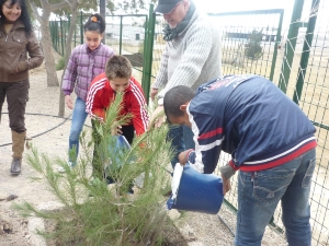 REFORESTACION PINOS SAN ANTONIO (3)