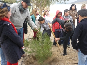 REFORESTACION PINOS SAN ANTONIO (4)