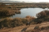 EL HUMEDAL DE LAS MORERAS INCLUIDO EN LA LISTA RAMSAR