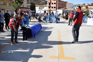 25_11_2019 MARCHA APROAMA (11)