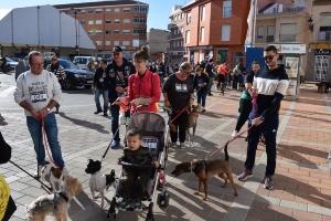 25_11_2019 MARCHA APROAMA (4)