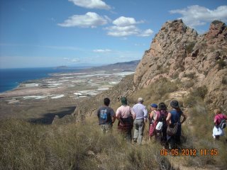 RUTA CAJAS NIDO (1)