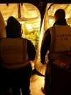 POLICÍA LOCAL Y GUARDIA CIVIL DESMANTELAN DOS PLANTACIONES ILEGALES