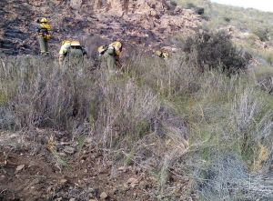 incendio la majada 2