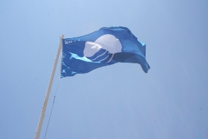 BANDERA AZUL NARES (1)