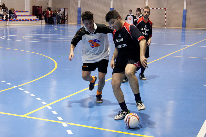 FLLFS2011_003