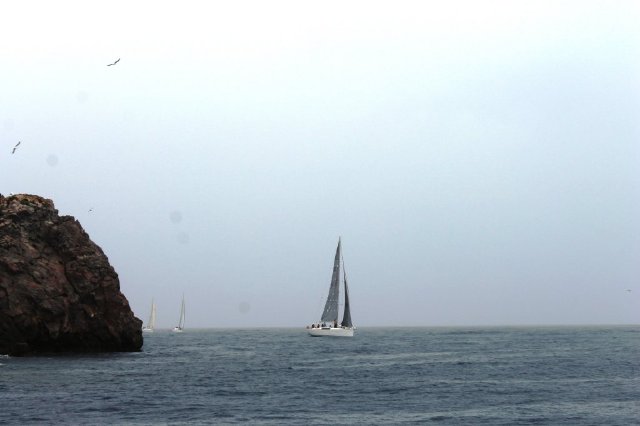 REGATA_IMG_9738
