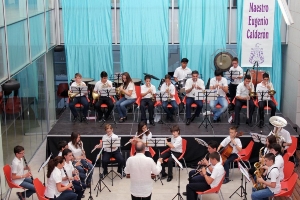 AUDICIONES Y DIA DE LA MUSICA 2013 (4)