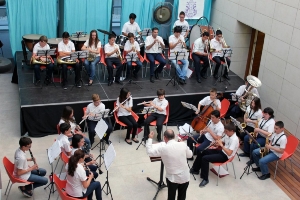 AUDICIONES Y DIA DE LA MUSICA 2013 (5)