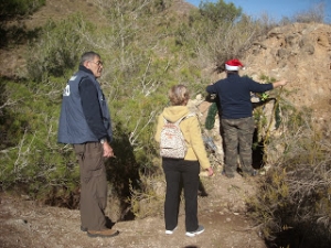 BELEN_LOS_ALGEZARES_07