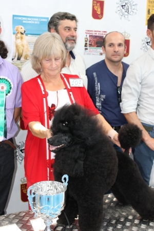 CONCURSO CANINO 2013 01