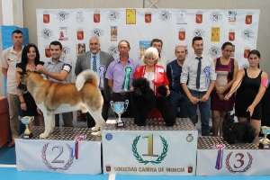 CONCURSO CANINO 2013 02