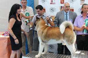 CONCURSO CANINO 2013 03