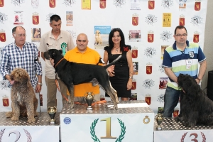 CONCURSO CANINO 2013 05