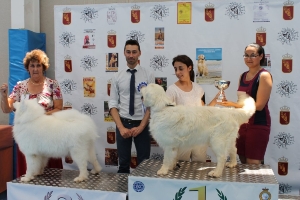 CONCURSO CANINO 2013 06