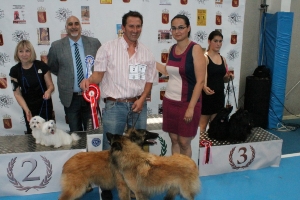 CONCURSO CANINO 2013 07