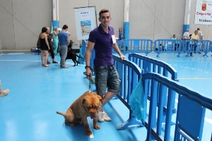 CONCURSO CANINO 2013 09