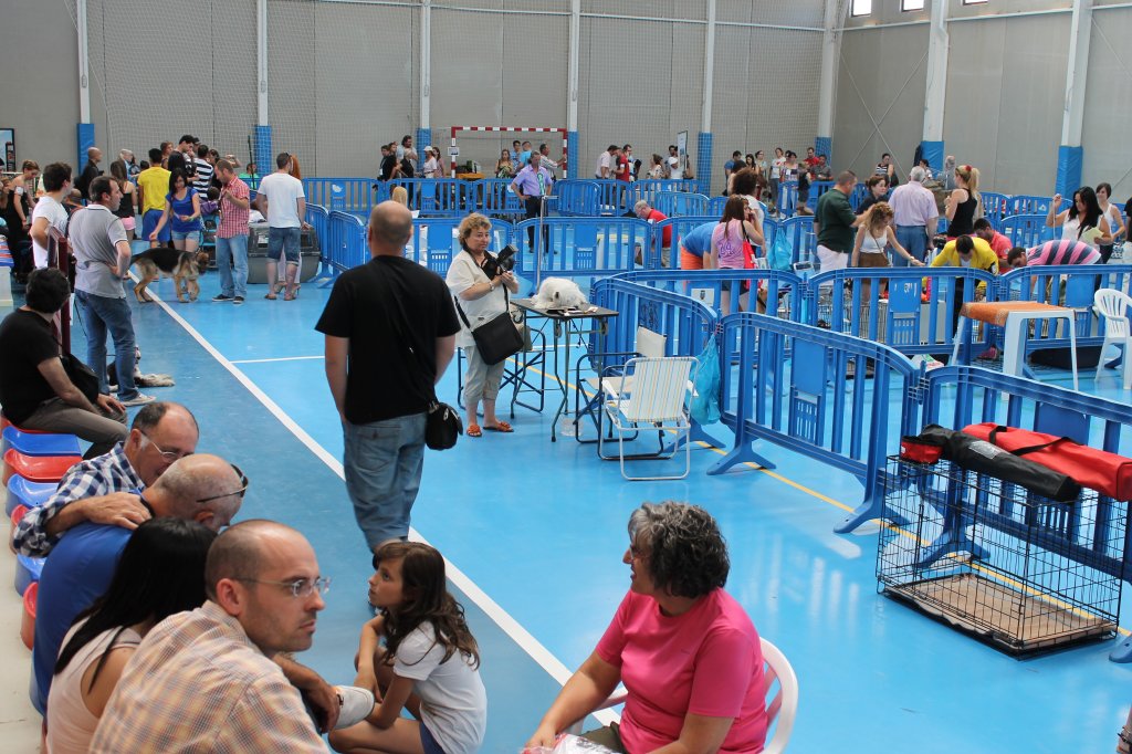 CONCURSO CANINO 2013 10