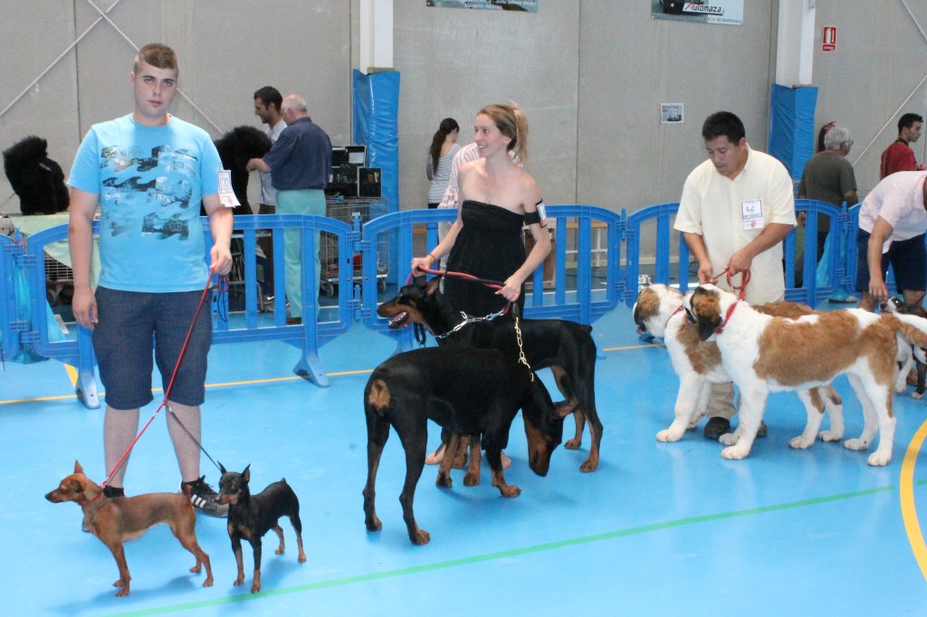 CONCURSO CANINO 2013 12