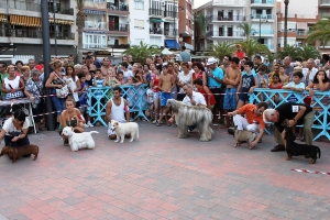 CONCURSO CANINO MAZARRON (1)