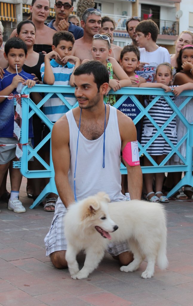 CONCURSO CANINO MAZARRON (2)