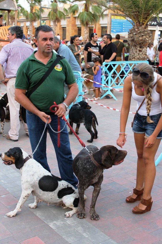 CONCURSO CANINO MAZARRON (3)