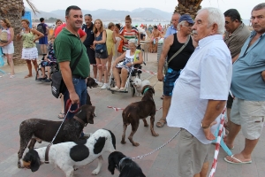 CONCURSO CANINO MAZARRON (5)