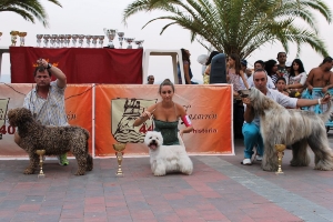 CONCURSO CANINO MAZARRON (6)