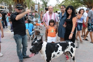 CONCURSO CANINO MAZARRON (7)