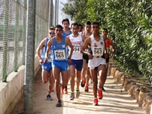 CROSS - EL AID (2)