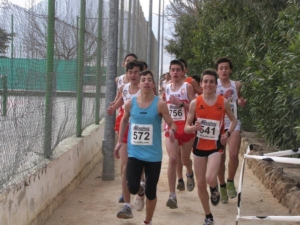 CROSS (4)