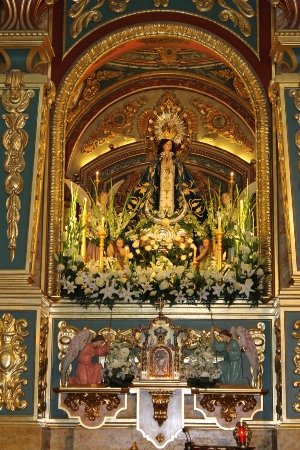 DIA_PURISIMA_2012_003