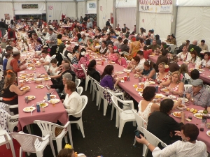 FIESTA ROCIERA (65)