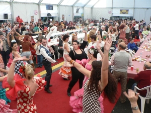 FIESTA ROCIERA (71)