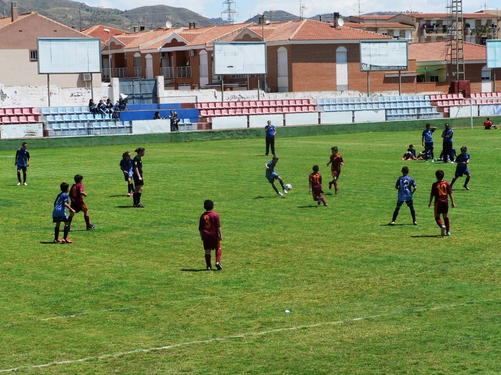 FUTBOL 8 CAMPEONATO ALEVIN 11