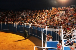 GALA ECUESTRE - FLAMENCA 02
