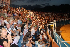 GALA ECUESTRE - FLAMENCA 04