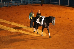 GALA ECUESTRE - FLAMENCA 05