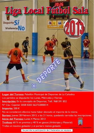 LLFS 2013 PRESENTACION (1)