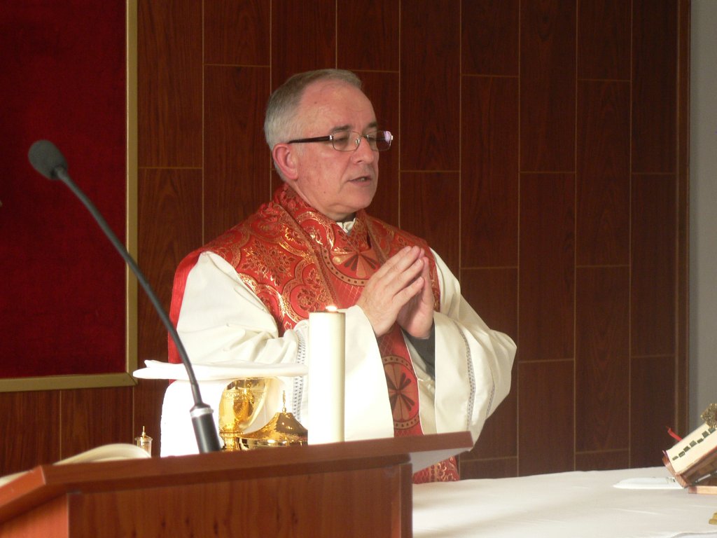 PASTRANA 2012 FIN FIESTAS (7)