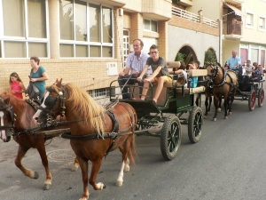 RINCONES 2012 PROCESION (24)