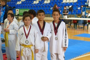 TAEKWONDO_23_NOVIEMBRE_2013_x4x