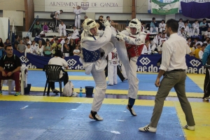 TAEKWONDO CADETE GANDIA (2)